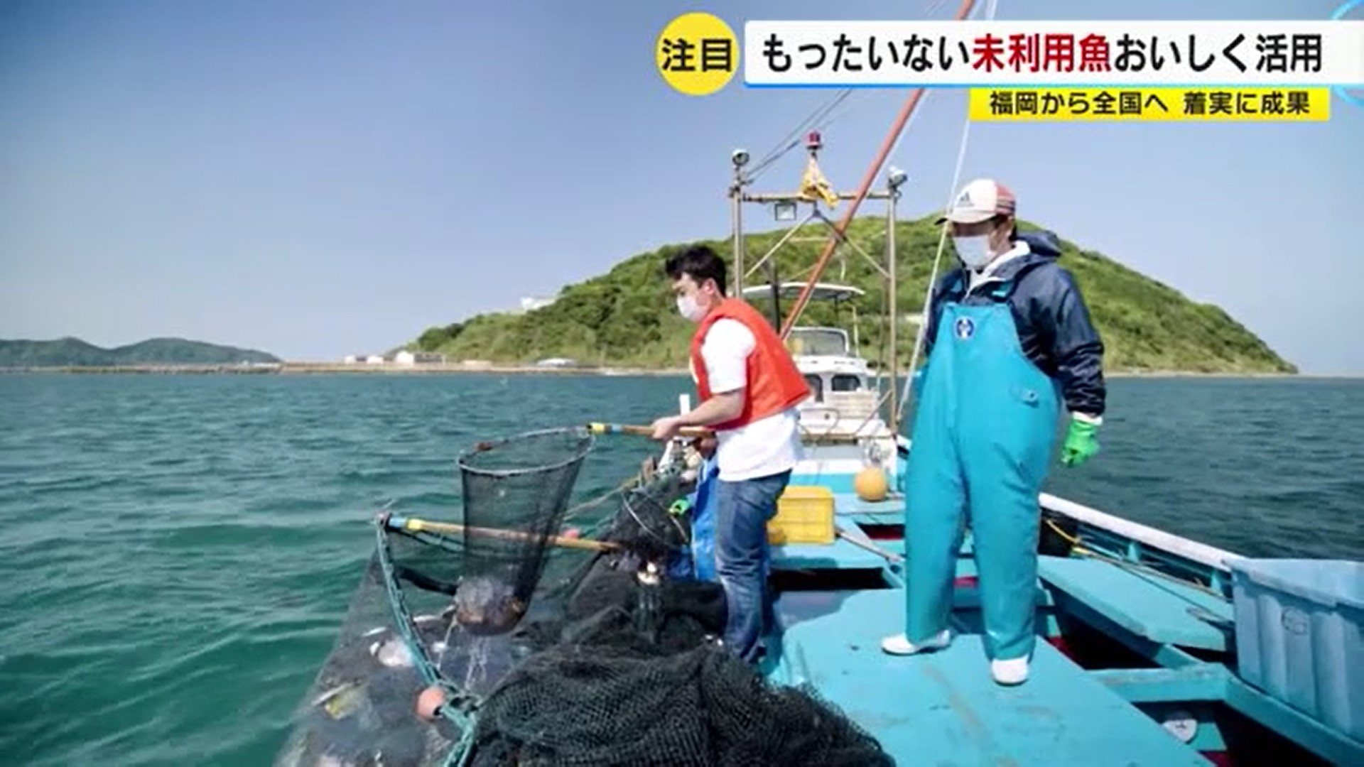 総水揚げの３割は“お金にならない魚”　“価値ある食材”として福岡から全国へ　ベンチャー企業の思い