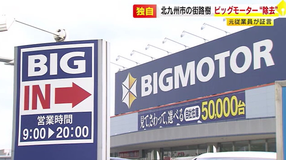 【独自】元従業員が証言「数百メートルに渡って抜いた」  ビッグモーター店舗前の“街路樹除去”　福岡県