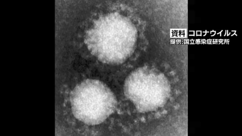 新型コロナ感染者　国内初確認から5年　死者数はインフルエンザの21倍　「高齢者のような重症化する人は引き続き注意が必要」