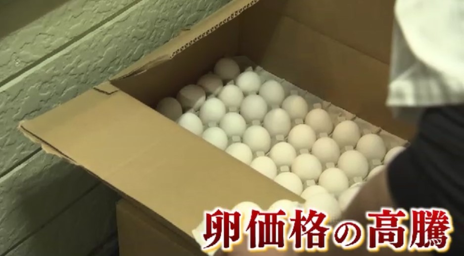 “エッグショック”再来か…卵の価格また高騰　マヨネーズ値上げへ　養鶏業者もエサ代アップに苦悩　鳥インフルのリスク抱え