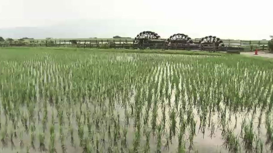 朝倉市38.4℃全国1位の暑さ　福岡県内各地で猛暑日　31人が熱中症疑いで搬送