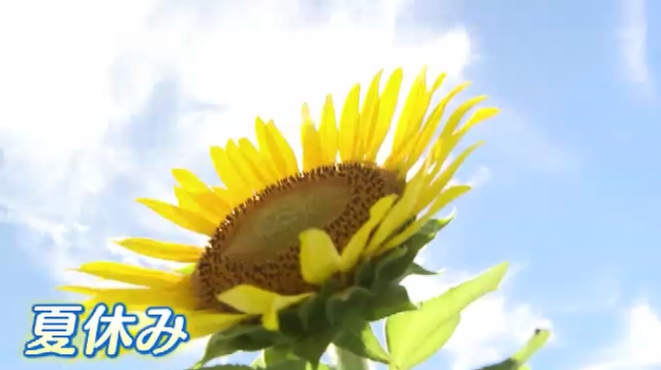 海外トップは「ソウル」国内は「沖縄」…夏休みの人気旅行先ランキング　話題のテーマパークに潜入取材　予約好調も物価高で予算は二極化　福岡