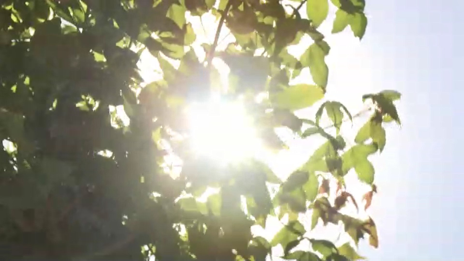 30日も危険な暑さに　久留米市で最高気温39℃予想　福岡県内に「熱中症警戒アラート」　適切なエアコン使用や水分補給呼びかけ