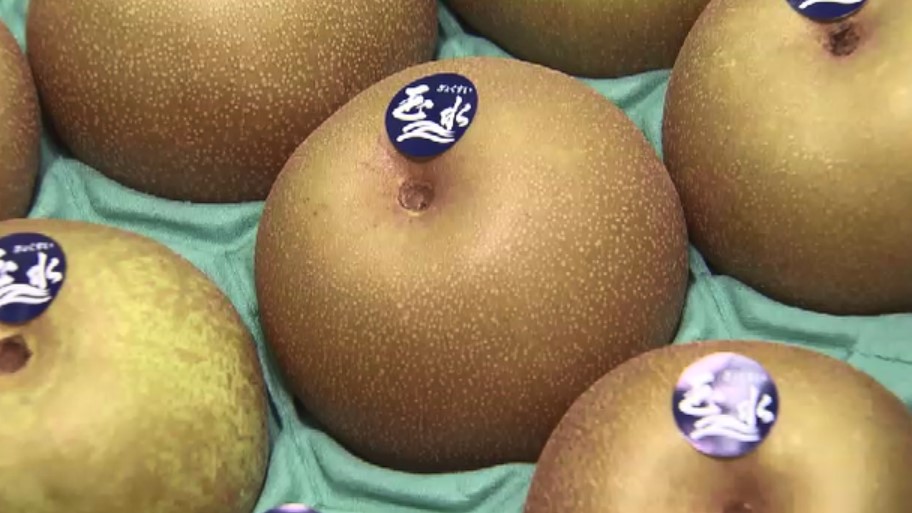 早く収穫できて甘い…福岡県産ナシの新品種「玉水」（ぎょくすい）をPR　県が10年かけて開発「ブランド力強化したい」
