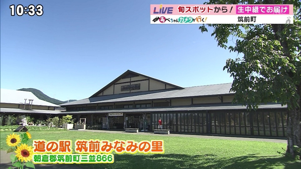 いま県内で一番新しい「道の駅」をご紹介！新鮮な産直野菜にひまわり畑も！【ももち浜ストア/あべちゃんカメラが行く】